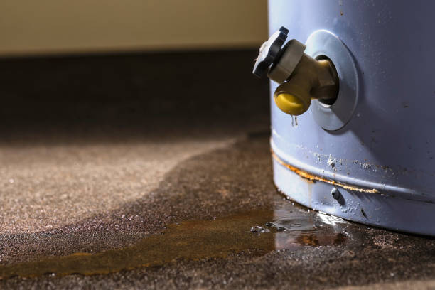 Best Water damage contractors near me  in Columbia, MS