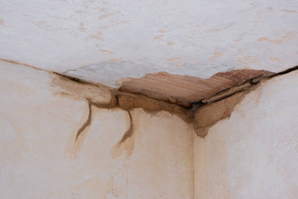 Best Flood restoration services  in Columbia, MS