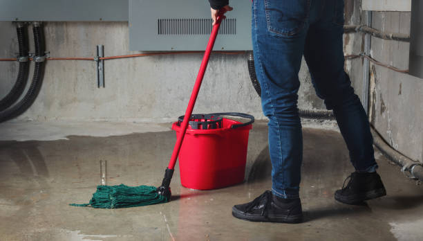 Best Basement water damage restoration  in Columbia, MS