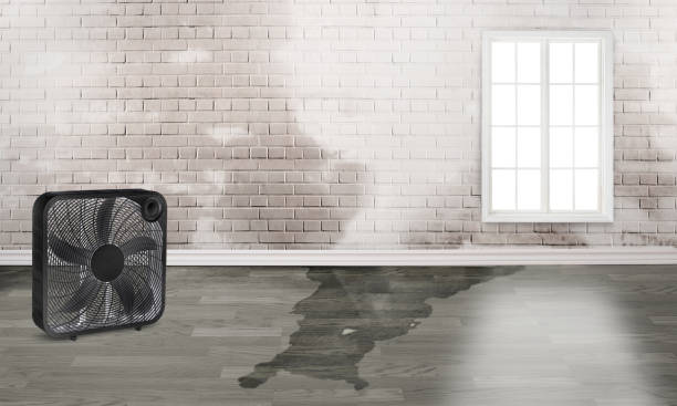 Best Professional water damage repair  in Columbia, MS