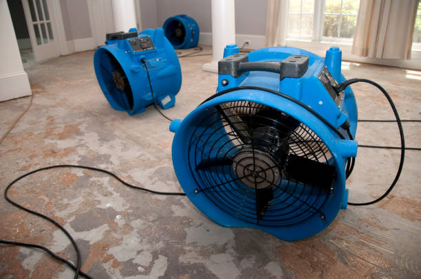 Best Water damage restoration company  in Columbia, MS