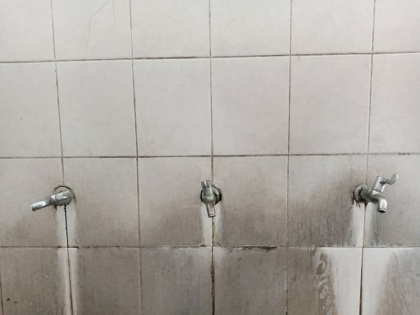 Best 24-hour water damage restoration  in Columbia, MS