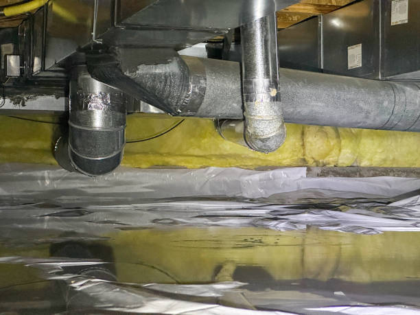 Best Water damage cleanup near me  in Columbia, MS