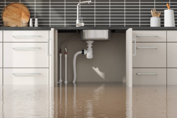 Reliable Columbia, MS Water damage restoration Solutions
